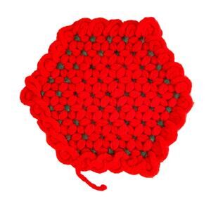 Handmade Poinsettia Crochet Hot Pad Vintage Christmas Hot Pad